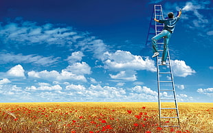 men's blue denim pants, sky, clouds, field, flowers