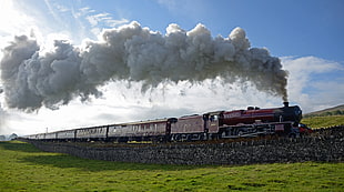 moving train releasing smoke during daytime