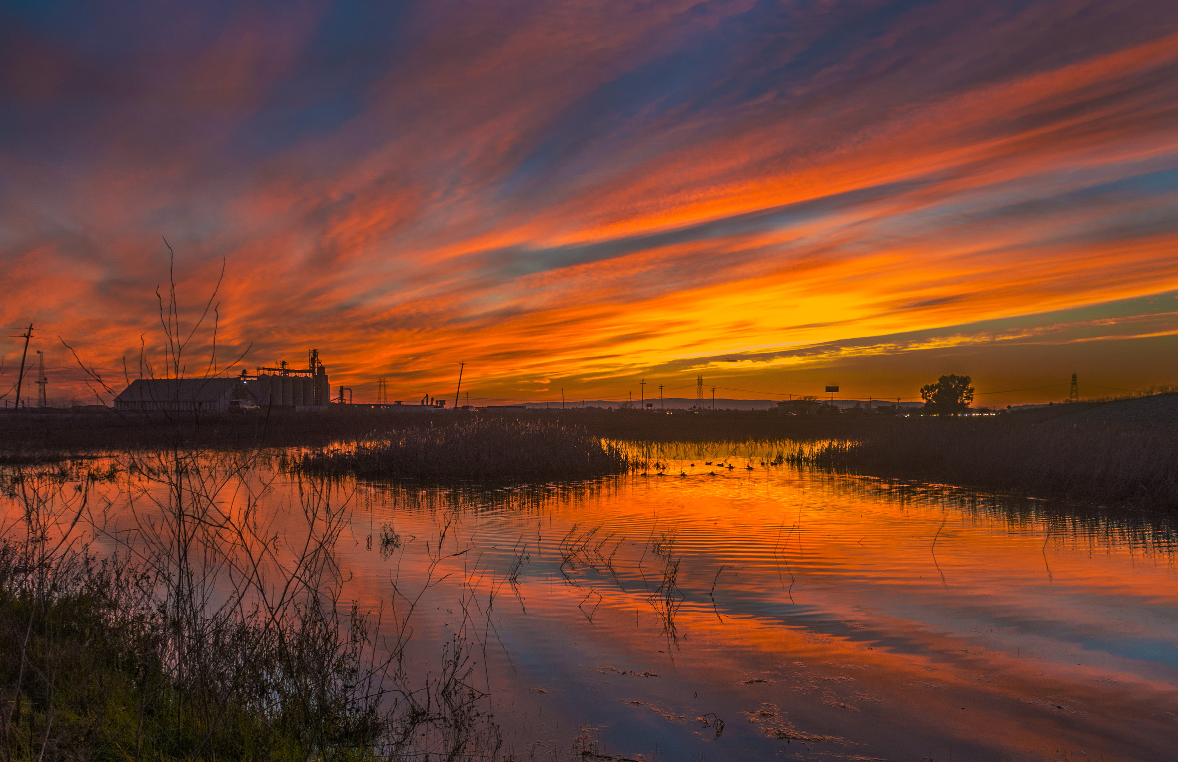 Orange Sunrise Photo Hd Wallpaper Wallpaper Flare