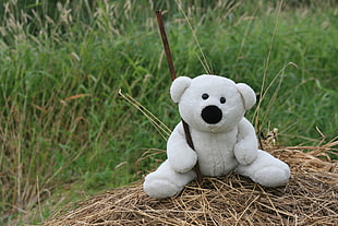 white bear plush toy sitting on brown kindling during daytime