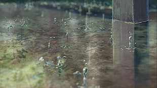 raindrop illustration, The Garden of Words, anime, animation HD wallpaper