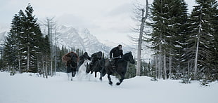 men riding horse during winter