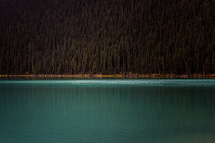 lake and trees, mountains, trees, lake, water HD wallpaper