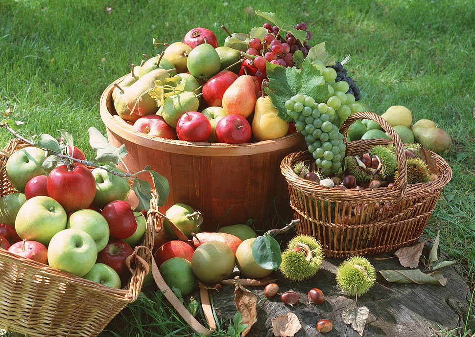 assorted fruits lot in basket HD wallpaper