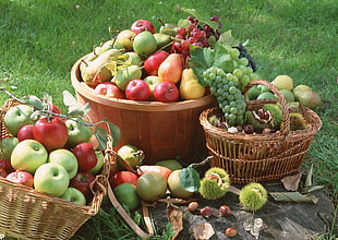 assorted fruits lot in basket