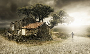 trees and house illustration, house, trees, clouds, old HD wallpaper