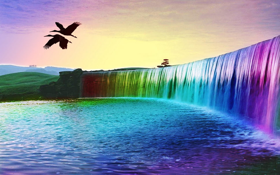 birds flying near multicolored waterfalls HD wallpaper