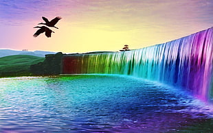 birds flying near multicolored waterfalls