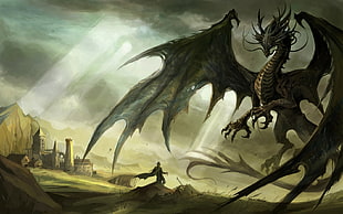 man with dragon wallpaper, dragon, fantasy art HD wallpaper