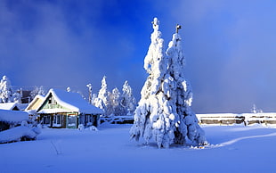 brown wooden house, landscape, snow