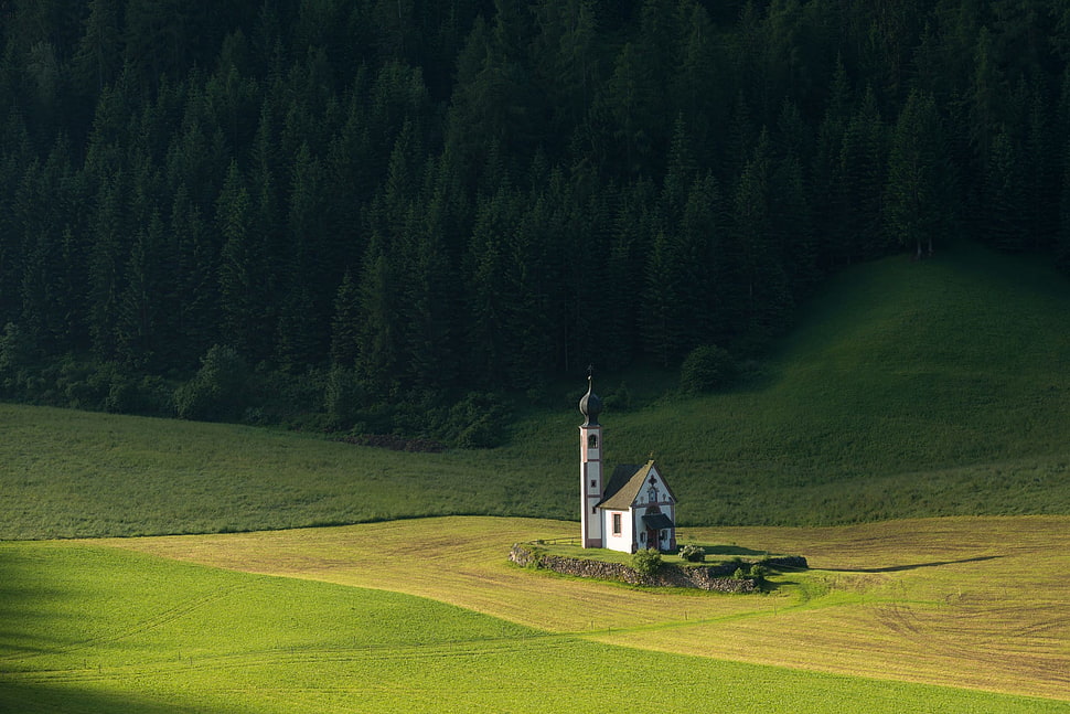 white concrete house, church, alone, trees, forest HD wallpaper