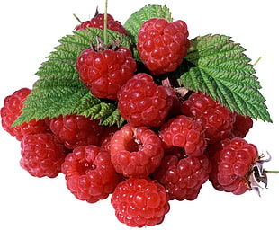 red raspberries