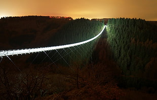 bridge digital wallpaper, dark, night, lights, bridge