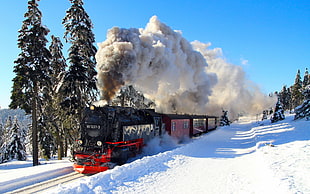 black and red train, nature, winter, snow, shadow