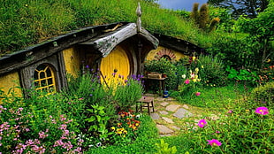 The Hobbit wallpaper, nature, landscape, house, New Zealand