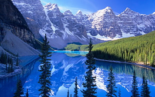 Banff National Park, Canada, nature, mountains, lake, forest HD wallpaper