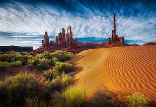 brown sand desert, dune, Arizona, shrubs, rock