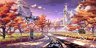 anime bicycle lane with orange sky illustration HD wallpaper
