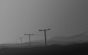 black electric posts, mist, minimalism