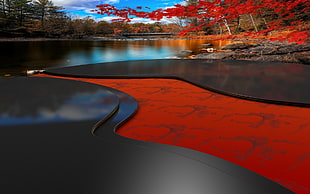 red trees, landscape