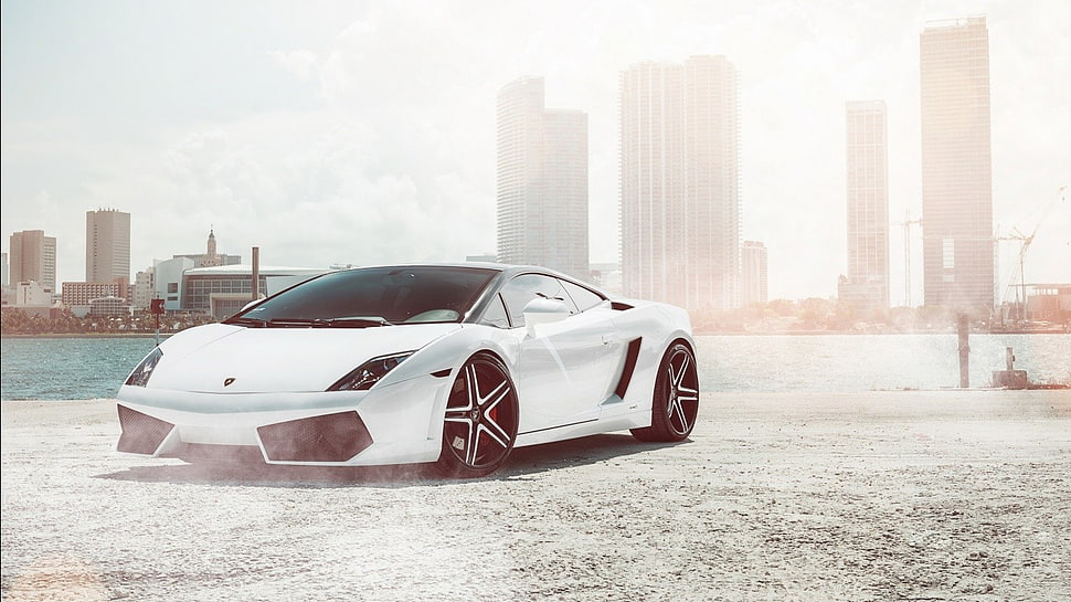 white sports coupe, car, Lamborghini HD wallpaper