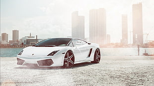 white sports coupe, car, Lamborghini