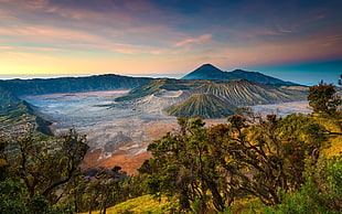 green leafed trees, landscape, mountains, volcano, Indonesia