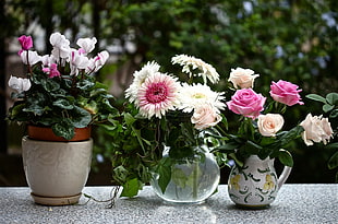 white and pink petaled flowers on vases