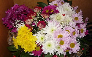 pink, white, yellow, purple, and red Daisy, Mums and Rose flower bouquet