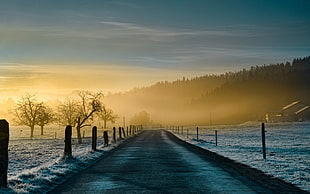 gray road during sun rise