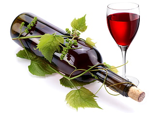 wine bottle with leaf and wine glass