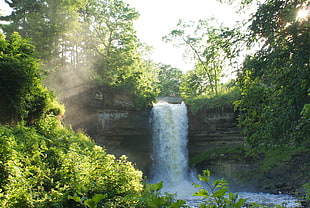 waterfalls on forest during daytime