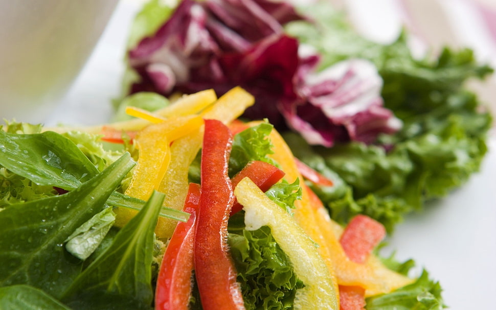 garden salad HD wallpaper