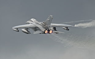 gray fighter jet, Panavia Tornado, jet fighter, airplane, aircraft HD wallpaper