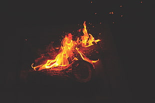 brown lit woods, Bonfire, Fire, Flames
