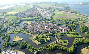 green trees, aerial view, Naarden (netherlands), Netherlands