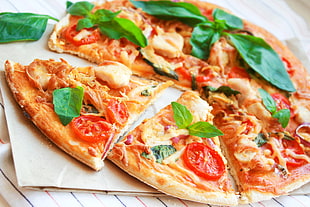 baked pizza with tomato toppings