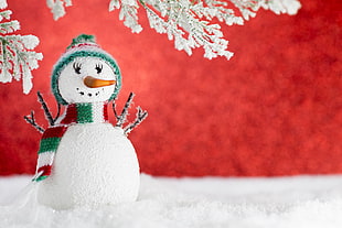 shallow focus photography of white snowman