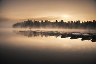 landscape photo of lake with fogs, photography, nature, lake, reflection