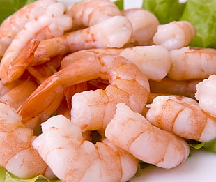 cooked shrimps