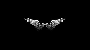 silver wings, black background, digital art, minimalism, wings