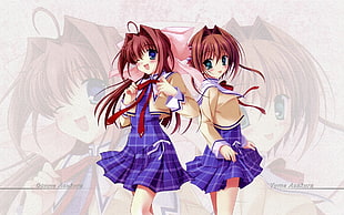 two red haired female anime characters illustration