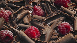 red raspberries, food, chocolate, dessert, raspberries