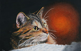 brown and black tabby cat, cat, painting