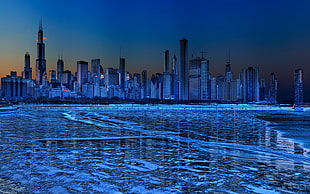 cityskape digital wallpaper, Chicago, city, night, HDR