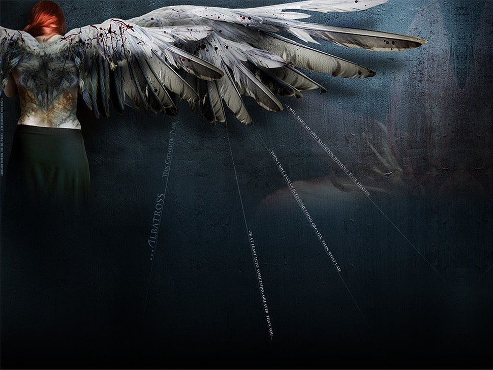 angel illustration, wings HD wallpaper