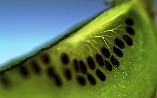 selective photography of green kiwi fruit