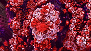 macro photography of red and white Micro organism