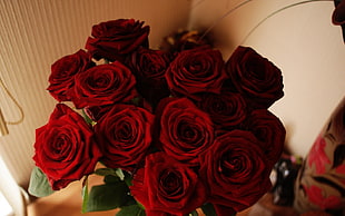 close-up photo of person holding bouquet of red roses