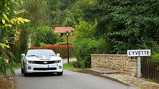white Chevrolet Camaro, muscle cars, Camaro, Chevrolet Camaro, Chevrolet HD wallpaper